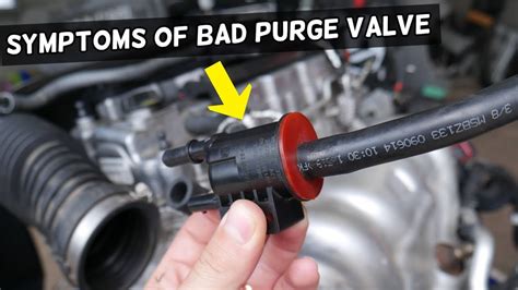 5 Signs Of A Bad Or Failing Canister Purge Valve